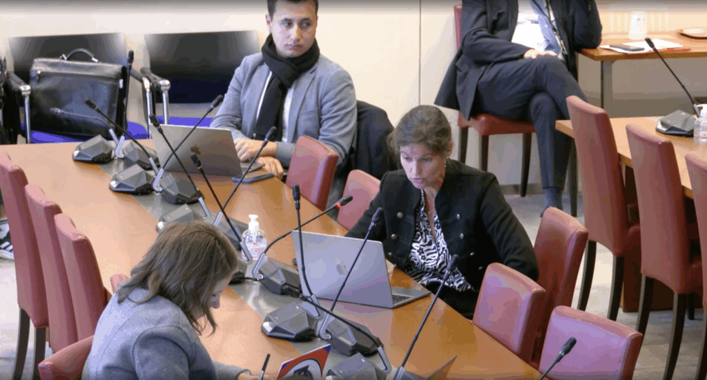 Elisabeth de Maistre mission d’information sur les causes et conséquences de la baisse de la natalité en France