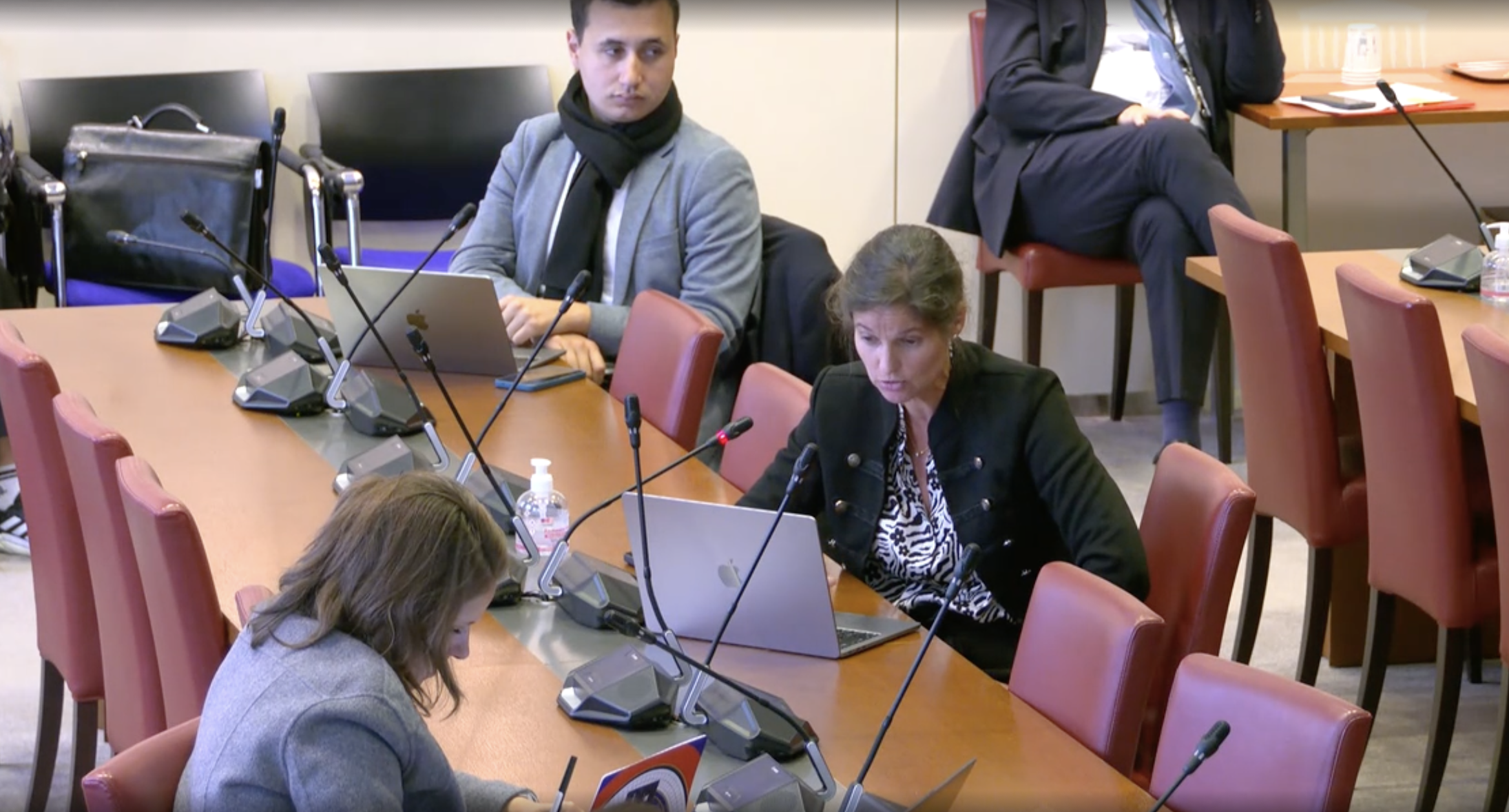 Elisabeth de Maistre mission d’information sur les causes et conséquences de la baisse de la natalité en France