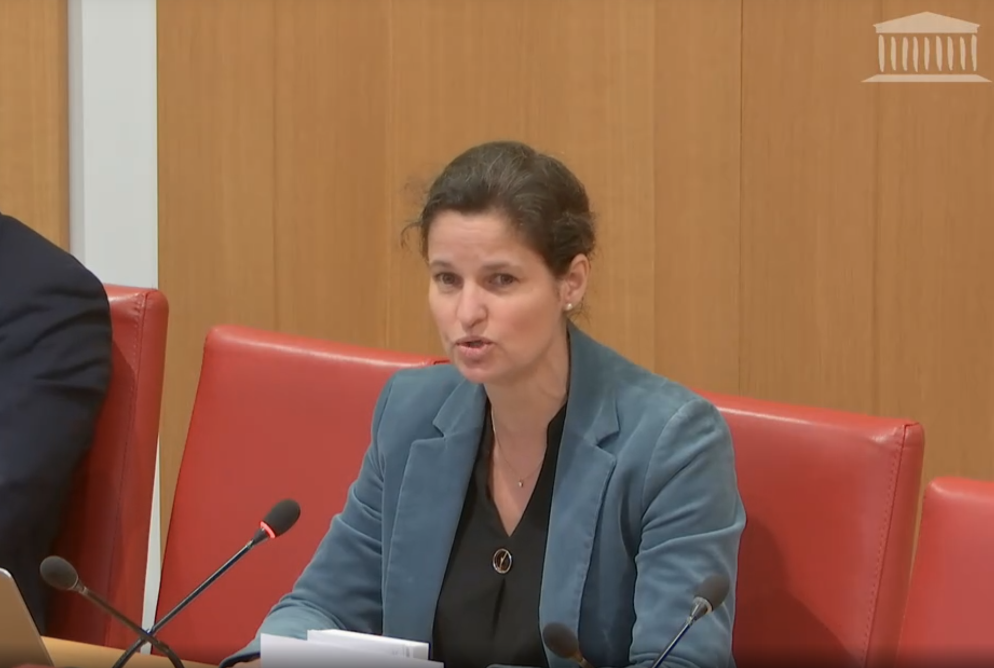Elisabeth de Maistre Députée courage de combler nos failles face aux profils dangereux Assemblée nationale Boulogne-Billancourt